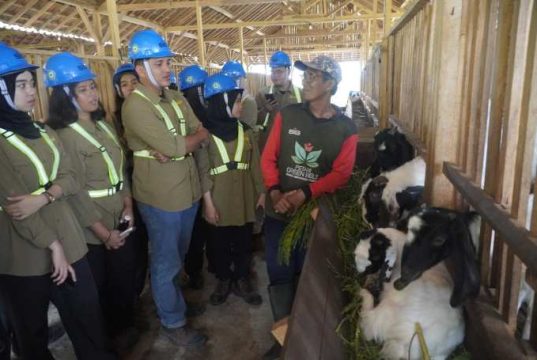 SIG Bersama Semen Gresik Terima Kunjungan Puluhan Duta Minerba dari Kementerian ESDM untuk Edukasi Generasi Muda