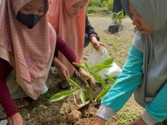 Komunitas Tunas Kecil Berdikari USM Lakukan Gerakan Tanam Pohon di Desa Karangsono