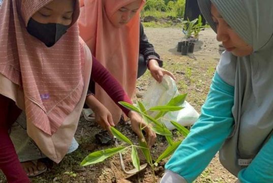 Komunitas Tunas Kecil Berdikari USM Lakukan Gerakan Tanam Pohon di Desa Karangsono