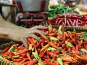 Harga Pangan di Kudus Merangkak Naik Jelang Nataru, Cabai dan Bawang Pimpin Kenaikan