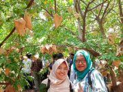 Inspirasi Literasi untuk Membangun Ketahanan Pangan 🌹