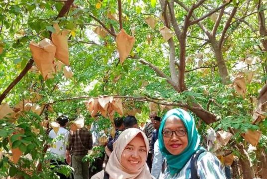 Inspirasi Literasi untuk Membangun Ā Ketahanan Pangan š¹