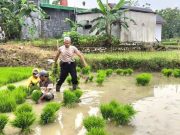 Anggota Polsek Bogorejo ‘Ndhaut’ Bersama Petani di Prantaan