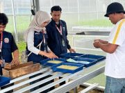 Mahasiswa KKN UPGRIS Kolaborasi dengan BUMDes Leyangan Perkuat Ketahanan Pangan