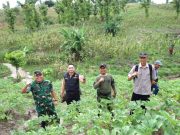 Yonif TP Siap Dibangun di Lahan di KPH Randublatung Seluas 110 Hektare