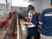 Green House Lapas Semarang Jadi Ruang Pembinaan Warga Binaan, Kalapas: Narapidana Siap Berwirausaha