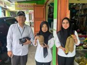 Menggali Potensi Indikasi Geografis di Dataran Dieng