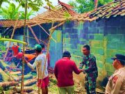 Hujan Disertai Angin Kencang, Pohon Tumbang Merusak Rumah Warga