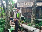 Angin Kencang Pohon Tumbang di Petanahan dan Sempor