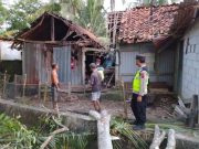 Angin Kencang di Kebumen Banyak Pohon Tumbang
