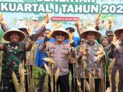 Ketua DPRD, Kapolres dan Dandim Panen Raya Jagung di Klirong