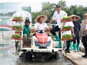 Target Nasional Terlampaui, Jawa Tengah Siap Jadi Penyangga Pangan Indonesia