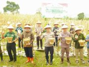 Polres Wonosobo Waktu Dukung Panen Raya Jagung untuk Ketahanan Pangan