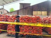 Mentan Amran Cek Ratusan Ton Bawang Bombay Diduga Ilegal yang Digagalkan Tim Gabungan di Semarang