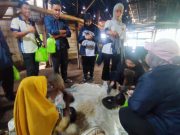 Mahasiswa asal Malaysia Kepincut Belajar Olah Kolang-kaling hingga Perah Susu Sapi di Desa Wisata Jatirejo Semarang