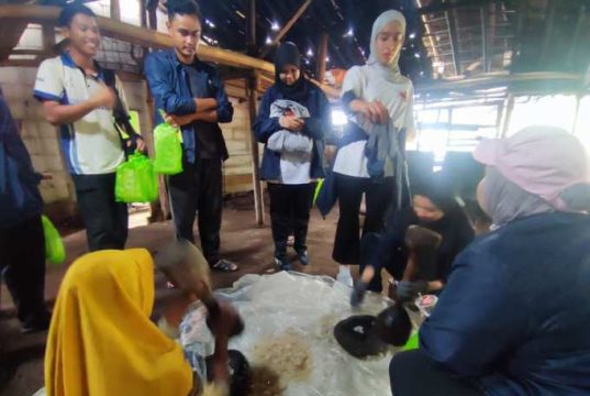 Mahasiswa asal Malaysia Kepincut Belajar Olah Kolang-kaling hingga Perah Susu Sapi di Desa Wisata Jatirejo Semarang