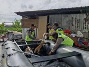 Banjir Kudus: Polisi Evakuasi Tujuh Kucing Milik Nenek Pengungsi