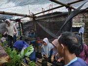 Perempuan Nelayan Demak Buat Kebun Pangan di Tanah Abrasi