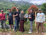 JATUBU Distribusikan Ribuan Bibit Pohon di Wonosobo, Bentuk Kepedulian pada Kelestarian Alam
