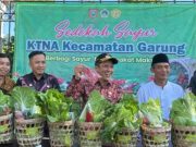 Wujudkan Aksi Solidaritas, KTNA Garung Sedekah 1,5 Ribu Paket Sayur Gratis untuk Masyarakat