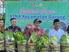 Wujudkan Aksi Solidaritas, KTNA Garung Sedekah 1,5 Ribu Paket Sayur Gratis untuk Masyarakat