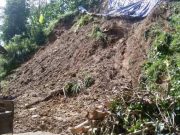 Cuaca Cerah, Warga Ngadiharjo Pulang dari Tempat Pengungsian