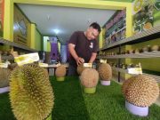 Manfaat Buah Durian Bagi Kesehatan, Bisa Dapatkan di Oemah Durian Brilliant