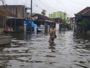 Update Banjir Kudus, Genangan Belum Surut, Jumlah Pengungsi Bertambah