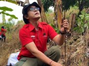 Di Tengah Bencana, PDIP Kudus Hadiahkan Aksi Hijau untuk Megawati
