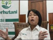 Soal Potongan Kayu Pinus Gunakan Mesin di Pantai Larangan, Perhutani Menjelaskan