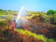 Angka Kejadian Kebakaran di Kota Pekalongan Menurun