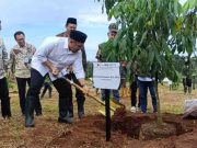 Undip Gandeng Pemkab dan Indomaret Perluas Pasar Kelengkeng Khas Batang