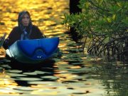 Living Lab Bedono, Kisah Ketangguhan Mak Jah Bertahan Hidup dengan Mangrove