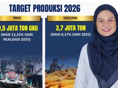 Ketahanan Pangan di Jawa Tengah, Capaian Produksi Padi dan Jagung serta Tantangan ke Depan