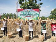 Dukung Ketahanan Pangan Nasional, Polda Jateng Bersama Petani Panen 690 Hektar Lahan Jagung