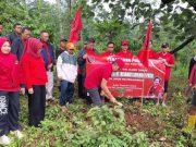 Tanam Pohon Alpukat, Kado Ultah Ke-79 untuk Hj. Megawati Soekarno Putri