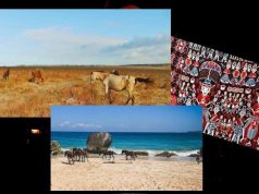 Cerita dari Sumba