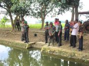 Pusterad Cek Kompi Produksi Kodim 0721/Blora Kelola Ikan Nila, Tanam Padi, dan Ternak Ayam Petelur
