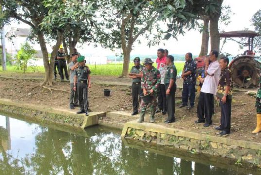 Pusterad Cek Kompi Produksi Kodim 0721/Blora Kelola Ikan Nila, Tanam Padi, dan Ternak Ayam Petelur