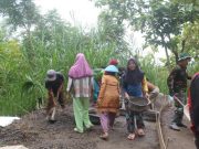 Begini Ketangguhan Ibu-Ibu Somagede dalam Menyulam Asa di Rabat Desa, Peluh Menjadi Jalan