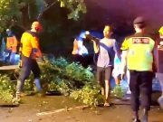 Pohon Tumbang Melintang Jalan, Wonogiri-Ponorogo Macet