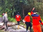 Hujan Angin Melanda 3 Kecamatan, Menimbulkan Kerusakan di 31 Lokasi