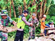 Diterjang Hujan Angin, Rumah Penggilingan Padi dan Kandang Ternak Roboh