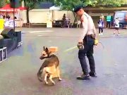 Anjing Pintar dari Unit K-9 Polres Wonogiri Ikut Fun Run With Pet