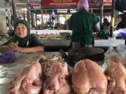 Harga Ayam di Pasar Batang Tembus Rp 42 Ribu