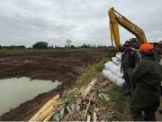 Kepala BNPB Kunjungi Desa Tinanding Grobogan, Perbaikan Tanggul Jebol Dikebut