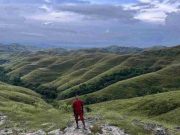 Menikmati Indahnya Eksotika Savana di Bukit Wairinding Sumba Timur