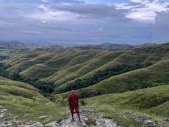 Menikmati Indahnya Eksotika Savana di Bukit Wairinding Sumba Timur