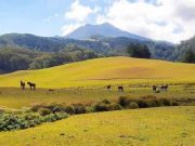 Gunung Mutis, Keindahan Alam dan Tradisi Budaya Masyarakat Timor