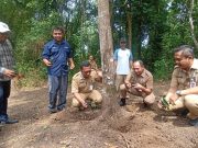 Rayakan HPN 2026, PWI Purworejo Usung Spirit Go Green di Heroes Park Purworejo